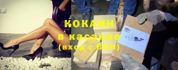 стафф Алзамай