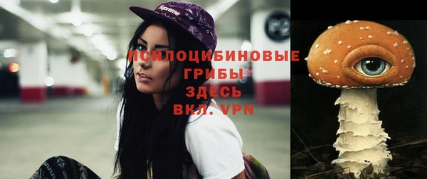 стафф Алзамай