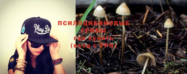 героин Алексин
