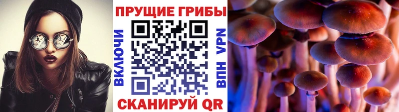 Псилоцибиновые грибы Cubensis  Ступино 