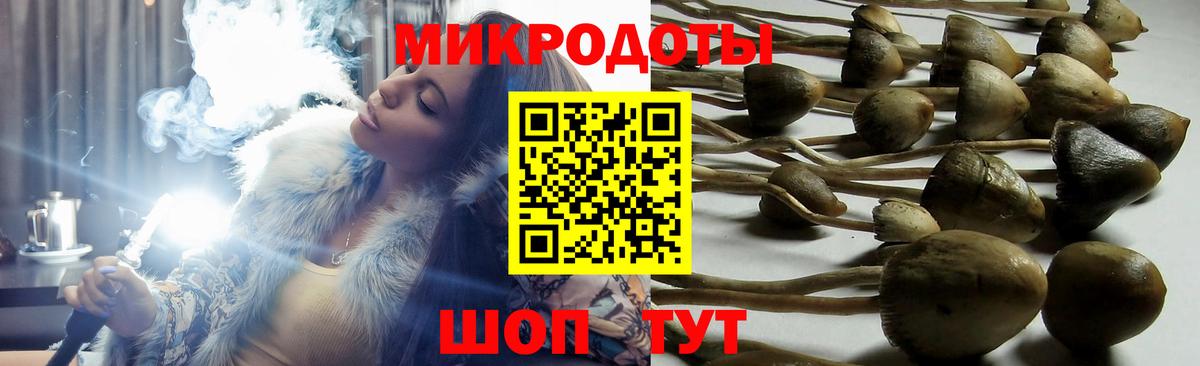 Ступино  Псилоцибиновые грибы ЛСД  Вход с VPN  Галлюциногенные грибы Psilocybe 